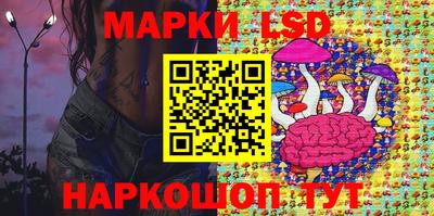 мдпв Камышлов
