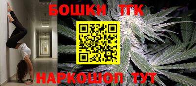 мдпв Камышлов
