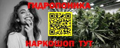 мдпв Камышлов