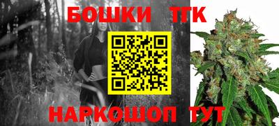 мдпв Камышлов