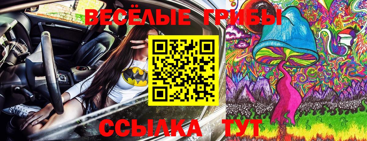 Галлюциногенные грибы Cubensis  Вход с VPN  Лениногорск  Галлюциногенные грибы ЛСД 